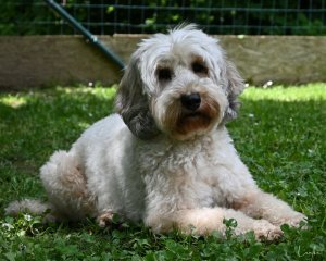 Betty