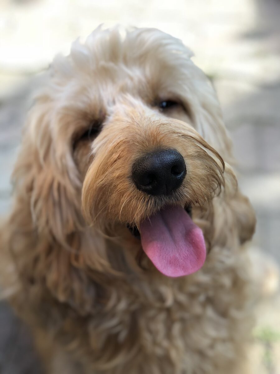 Jack